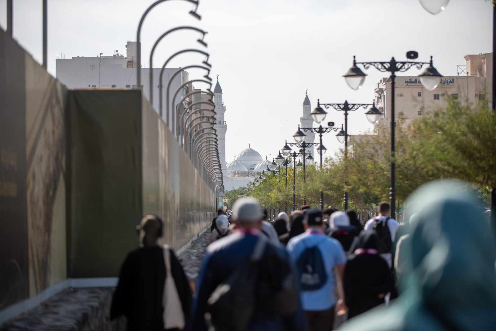Pilgrims walking along a tree-lined avenue in Madinah